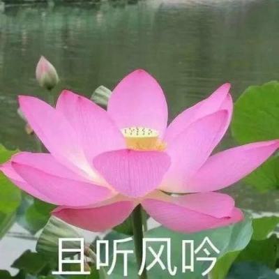 浙江三日累计19例阳性 上海新增1例密接确诊